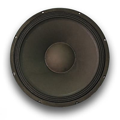 15" PA/DJ Raw Woofer/Speaker Replacement PRO Audio 8ohm image 1