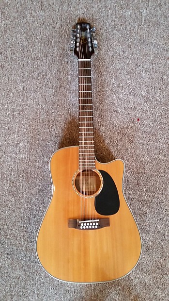 Used takamine sales 12 string
