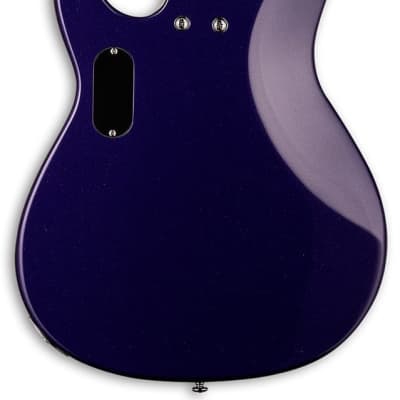 ESP Guitars LTD AP-204 Bass, Dark Metallic Purple image 3