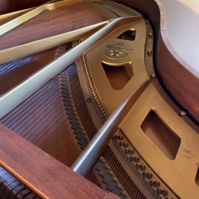 Chickering Ampico B Grand Player Piano 1936 - Mahogany image 5