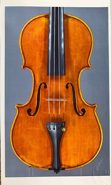 2024本物保証4/4 Contavalli Primo di Luigi バイオリン 全長： 59cm ヴァイオリン 1973 2201LO049 バイオリン