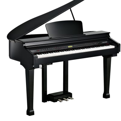 Kurzweil - Digital Piano! KAG-100 *Make An Offer* image 2