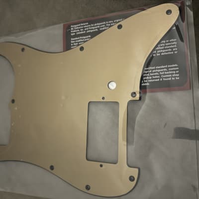 W.D. Stratocaster 2023 - Gold image 1
