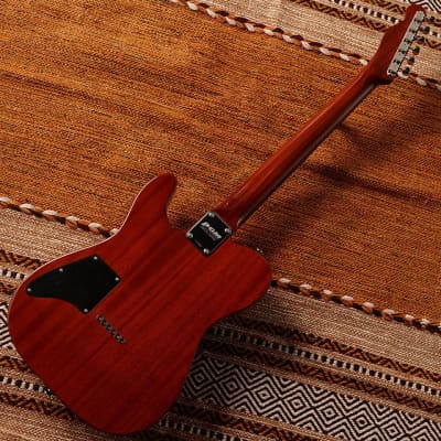 K.Nyui Custom Guitars KN-TE Thinline w/Lollar CC P.U & Imperial HB #1745 - Custom 2TB image 10