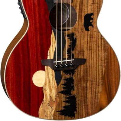 Luna Guitars Vista Bear 4-String Acoustic/Electric Bass with Case (VISTA BEAR BASS) for sale