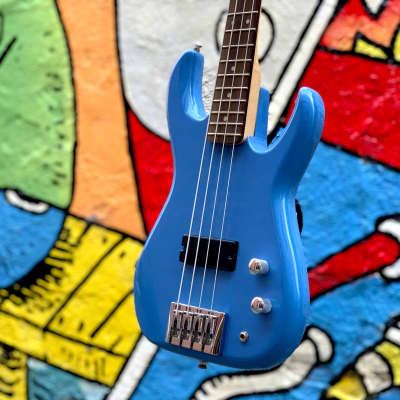 Fleabass Junior Water Bass - Orange / Blue image 5