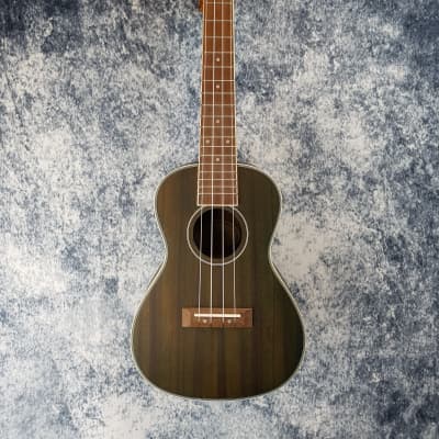 Adam Black Mahogany Electro Concert Ukulele - Pre-Loved (Great Condition) image 2