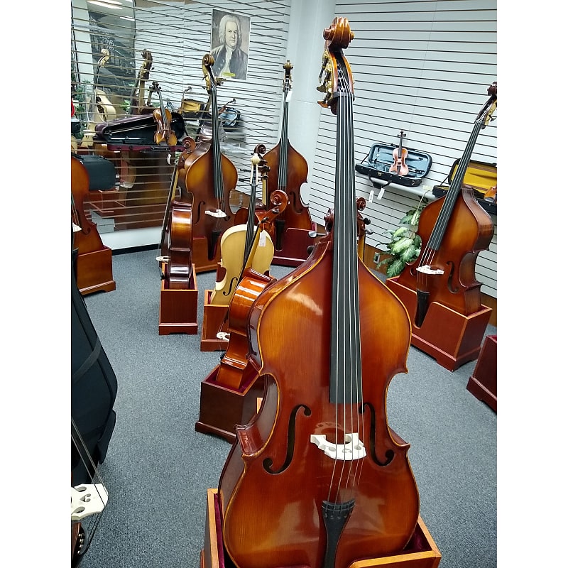 5 string double bass deals for sale