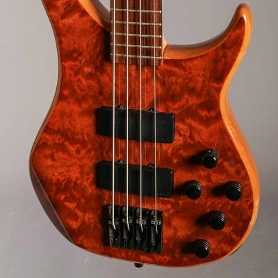 Peavey Cirrus BXP 4 Bubinga Gloss | Reverb