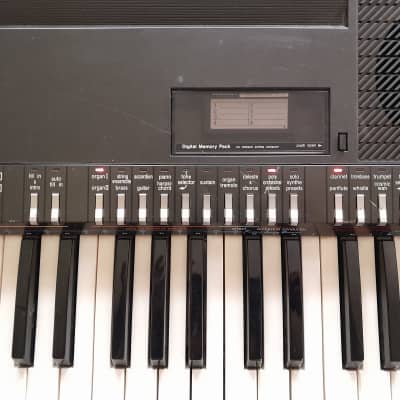 激レア！SX-k200 Technicsアナログ シンセサイザー Vintage Technics SX-K200 Vintage Organ Keyboard | Reverb