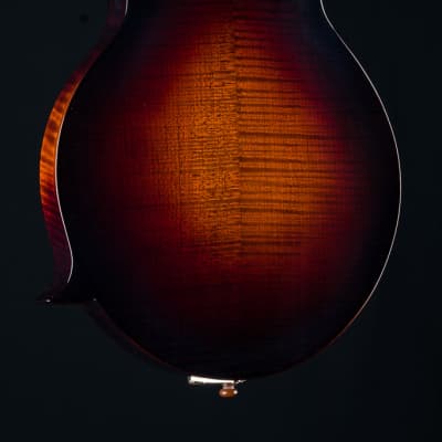 Hinde F Adirondack Spruce and Torrefied Flamed Maple Sunburst Mandolin NEW image 15