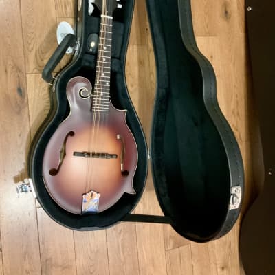 Viking F style mandolin case image 3