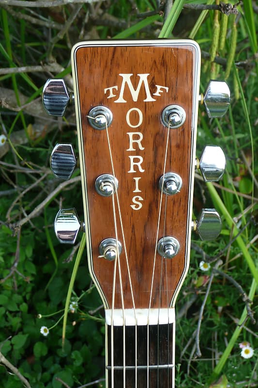 Morris TF-50SP Brazilian Rosewood Acoustic Guitar '80 Natural+