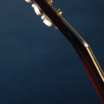 Kay 395 Electric Mandolin 1960s / Anyone for Venice? image 13