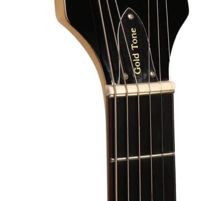 Gold Tone GT-500 Banjitar Banjo (Six String) image 4