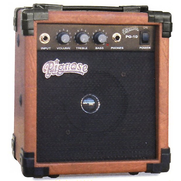 Pignose amp store