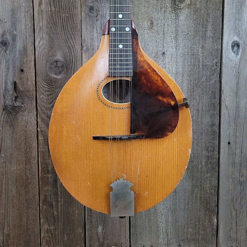 Gibson Octave Mandolin 1904, Natural
