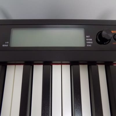 Casio CDP-S350 88 Key Portable Stage Piano (KEYBOARD