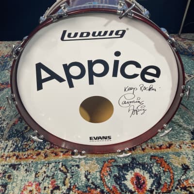 Ludwig Carmine Appice's Rod Stewart Era 22" Bass Drums. Signed Logo Heads! Authenticated! mid 1970s - Mahogany Thermogloss image 22