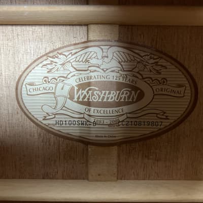 Washburn HD100SWK Heritage Series Acoustic W/GigBag image 9