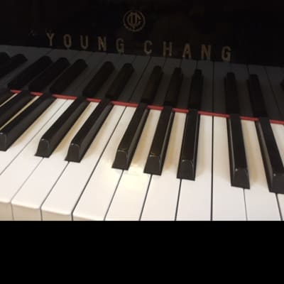 Young Chang 7’ Grand Piano G-213, 1988-89 Auto Player image 2