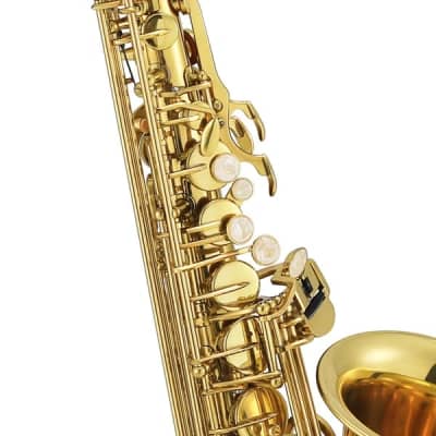 Professional Alto Saxophone E Flat Commander Eb Saxophone Gold Full Kit Sax  With Gig Bag