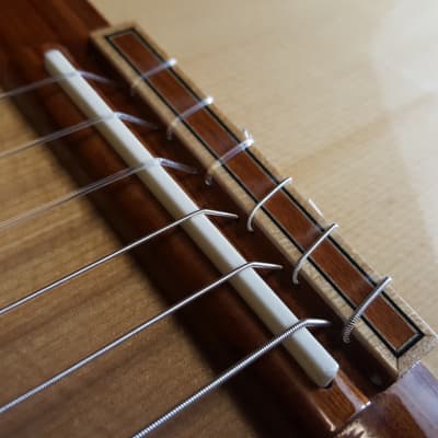 ORTEGA Private Room Striped Suite CE Acoustic Electric Cutaway Classical Guitar w/Bag image 9