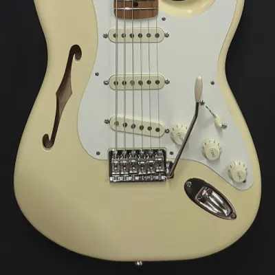 Custom Fender Thinline Stratocaster EJ Inspired Eric Johnson Signature Pickguard Assembly w/Gigbag image 2