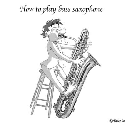 2 boxes of Alto saxophone V16 reeds - 4 - Vandoren + humor drawing print image 6