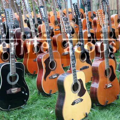 ☆☆ Epic Vintage Eko Acoustic Guitar Collection ☆☆ image 3