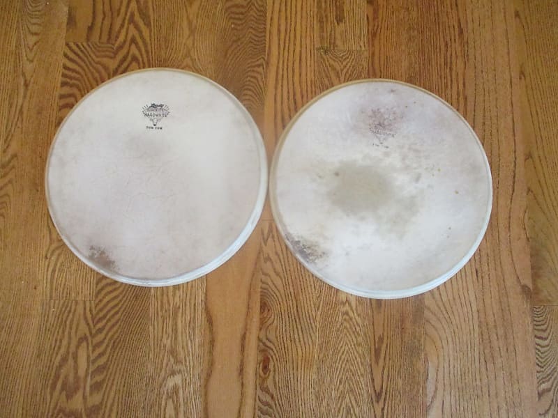 Leedy (2) Matching Vintage 13 Inch Calf Skin Tom Tom  Heads, Early 60 Or 50s, Very Playable! image 1