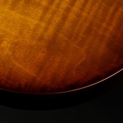PRS CE 24 - Burnt Amber 2023 image 18