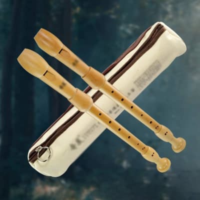 Music Recorder Instrument,Beginner Adult German Alto Recorder, 8-Hole Wooden Professional Playing Flute Instrument, Storage Bag + Cleaning Stick image 4