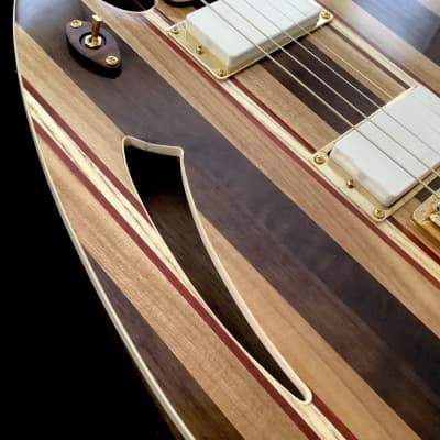 JD Guitars 2023 Neptune-6 image 19