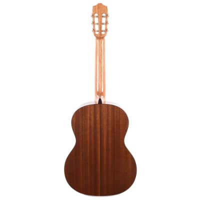 Cordoba C5 SP Nylon String Classical Acoustic Guitar, Solid Spruce Top, Natural, New Free Shipping image 9