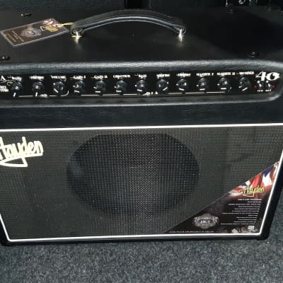 Hayden HGT-A-40C All Tube Bass Combo 40W for sale