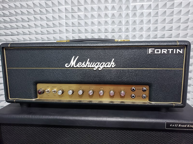 Meshuggah amp outlet