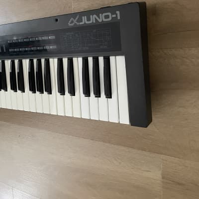 Roland Alpha Juno-1 49-Key Programmable Polyphonic Synthesizer 1985 - 1988 - Black image 2