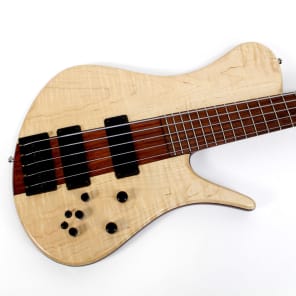 2007 USA Made Eshenbaugh Custom 5-String Electric Bass Guitar image 14