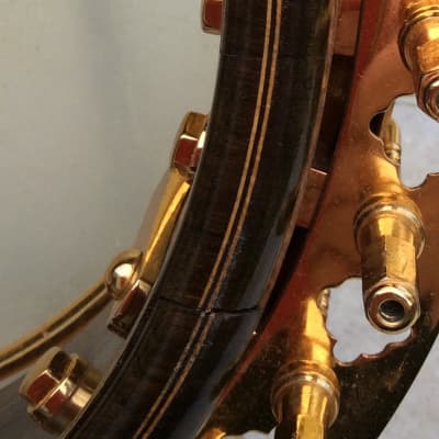 Windsor  Supremus Deluxe Tenor Banjo image 15