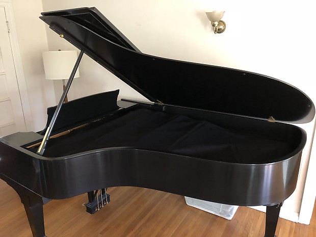 Grand piano 2025 string cover