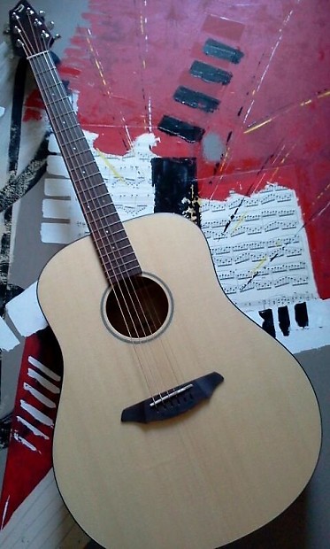 Breedlove Passport D200 Acoustic Guitar 2010 Solid Spruce Top image 1