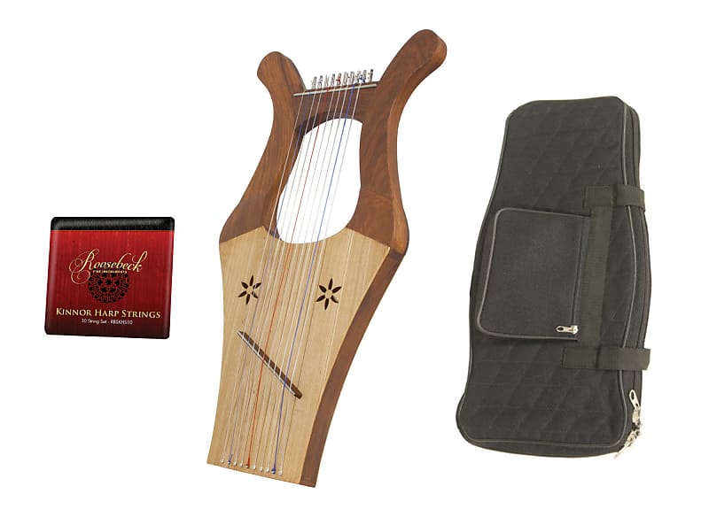 Kinnor Harp 2-Tone Color w/ Gig Bag & Extra Strings Set image 1