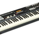 Hammond SK1 Stage 61 Keyboard/Organ  MINT //ARMENS//