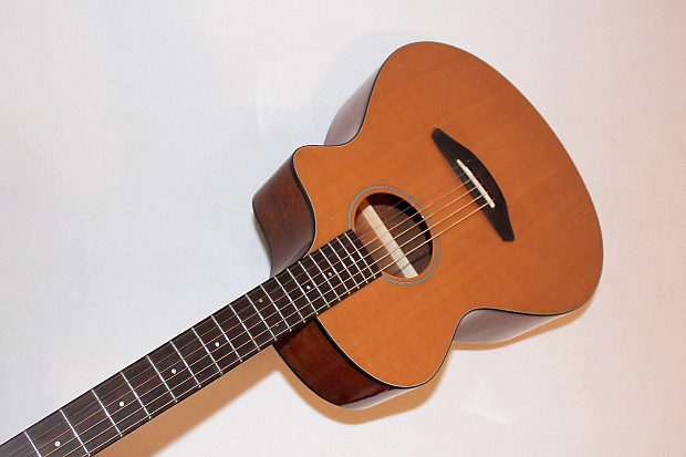 Breedlove sales passport concert
