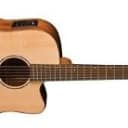 Washburn WD250SWCE Acoustic Electric Dreadnought with Cutaway