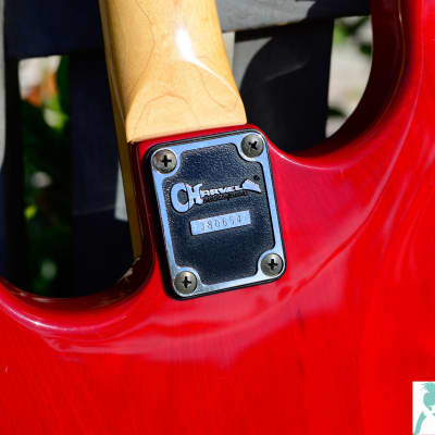 Jackson Charvel CST-060-SSH Stratocaster (Trans Red) Ash Jackson Charvel CST-060-SSH Stratocaster (Trans Red) Ash