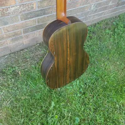 1920's Unlabeled Parlor Guitar Brazilian Rosewood Great Player & Sound Lyon & Healy Or Bruno Made image 7