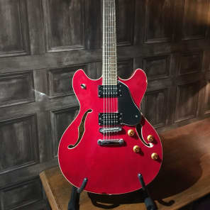 Washburn HB-30 (プチ改造)