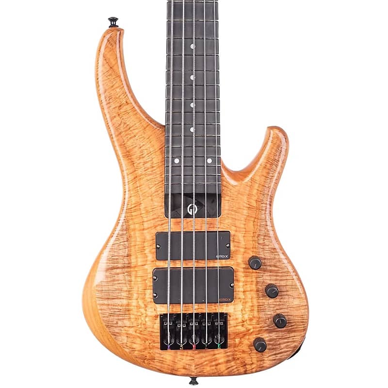 ベース GGi5 Geoff Gould G Gould GGi5 Spalted Maple – RocketMusic